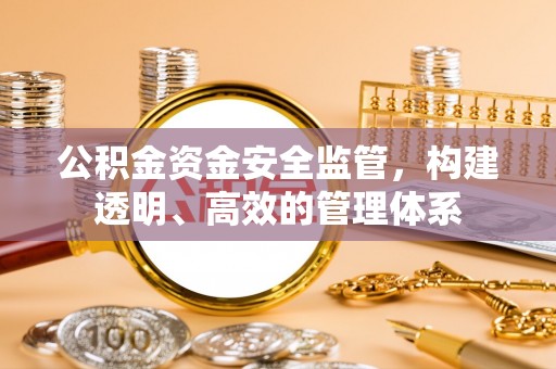 瀍河公积金资金安全监管，构建透明、高效的管理体系
