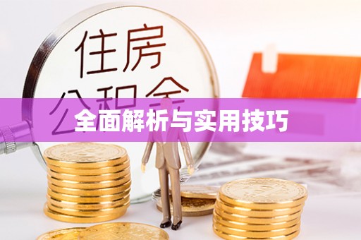 瀍河全面解析与实用技巧