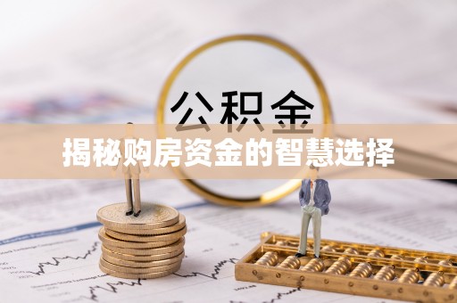 瀍河揭秘购房资金的智慧选择
