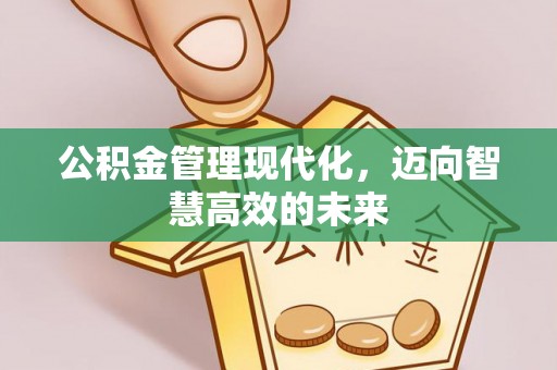 瀍河公积金管理现代化，迈向智慧高效的未来