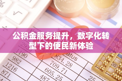 瀍河公积金服务提升，数字化转型下的便民新体验