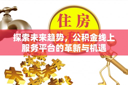 瀍河探索未来趋势，公积金线上服务平台的革新与机遇