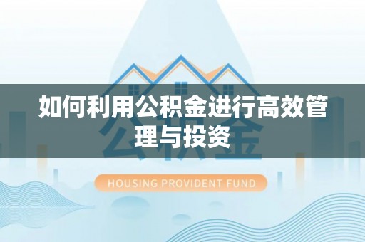 瀍河如何利用公积金进行高效管理与投资